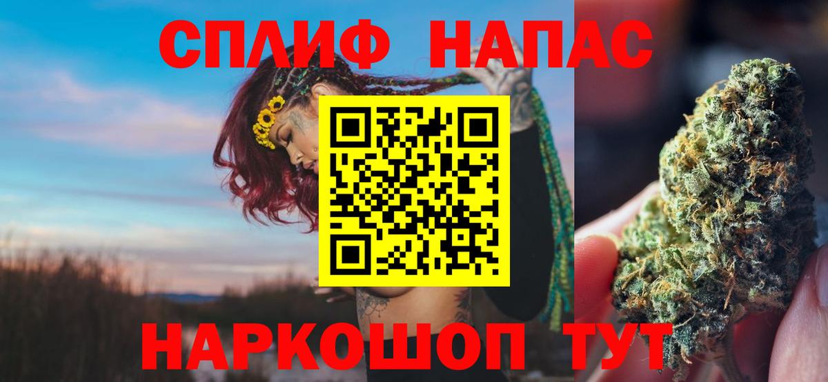 Конопля ГИДРОПОН  Вход с VPN  Юрга  Конопля Bruce Banner  Канабис конопля 